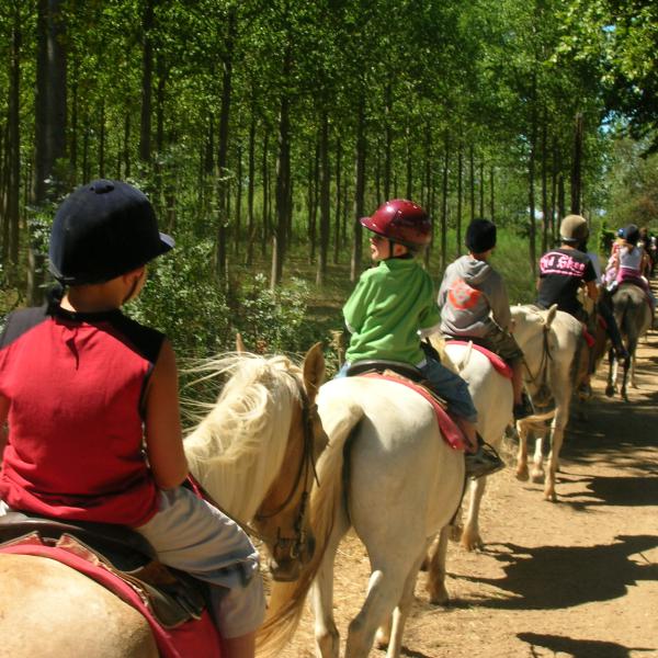 Petit Cavalier à Ancelle